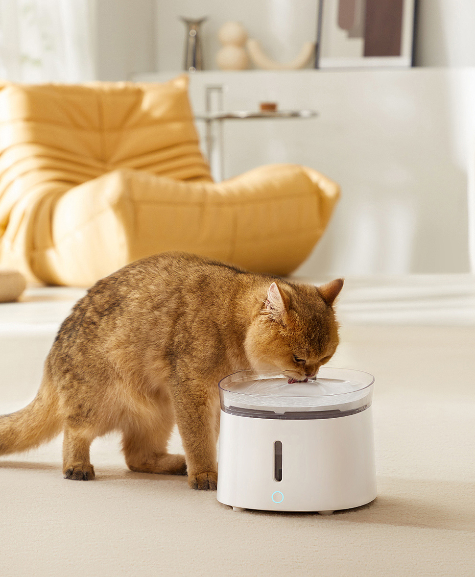 Produk haiwan kesayangan